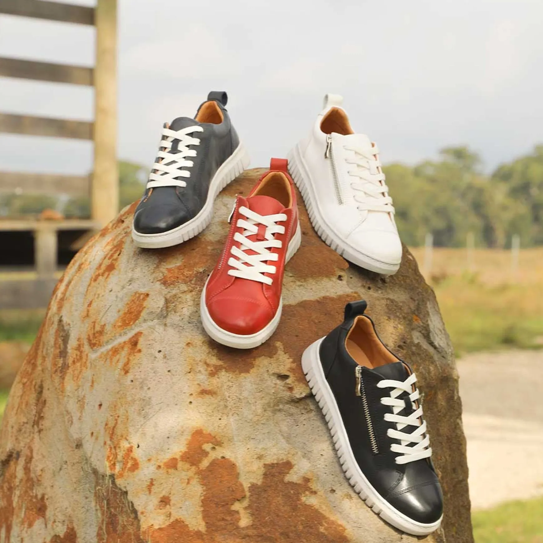CLARENCE LOW-TOP ZIPPER SNEAKER LEATHER>EOS Footwear New