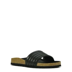 GINNI><noscript><img width=